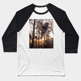 deep jungle pine tree forest Baseball T-Shirt